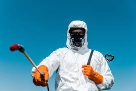 Best Organic or Eco-Friendly Pest Control  in South St Paul, MN